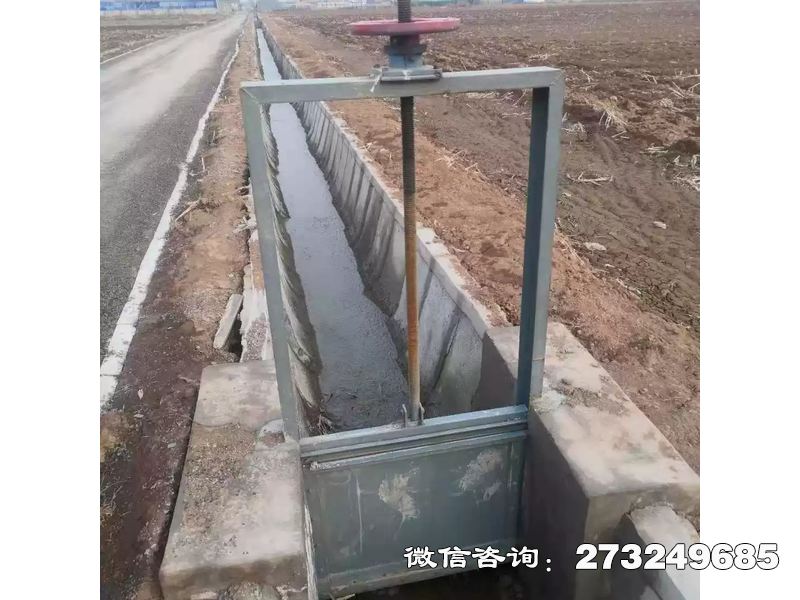 常山县抗磨钢制含沙闸门