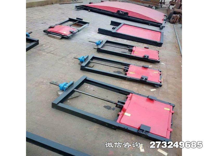 常山县蓄滞洪区应急分洪门机闸一体门