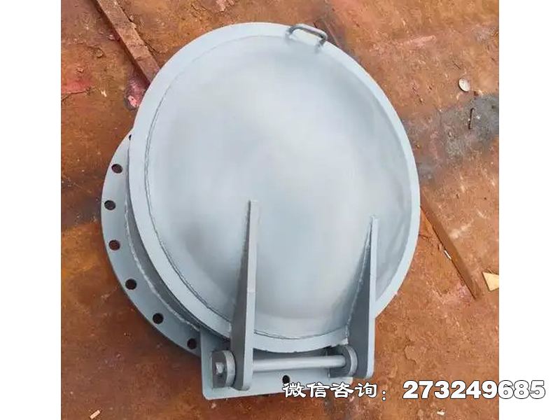 长武县铸铁圆型防逆流拍门