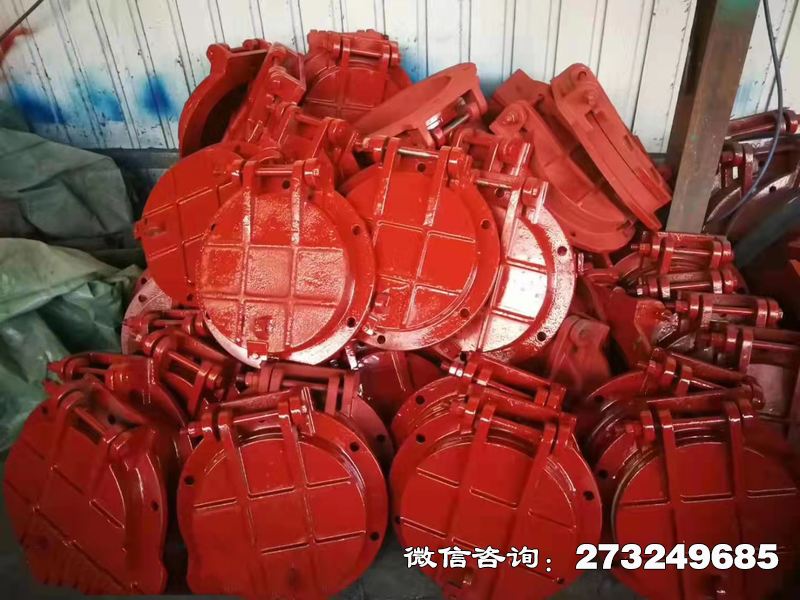 铸铁圆形泵站拍门