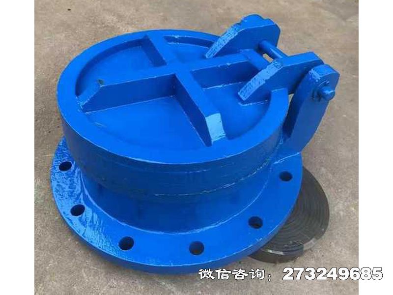 长武县铸铁圆型截污拍门