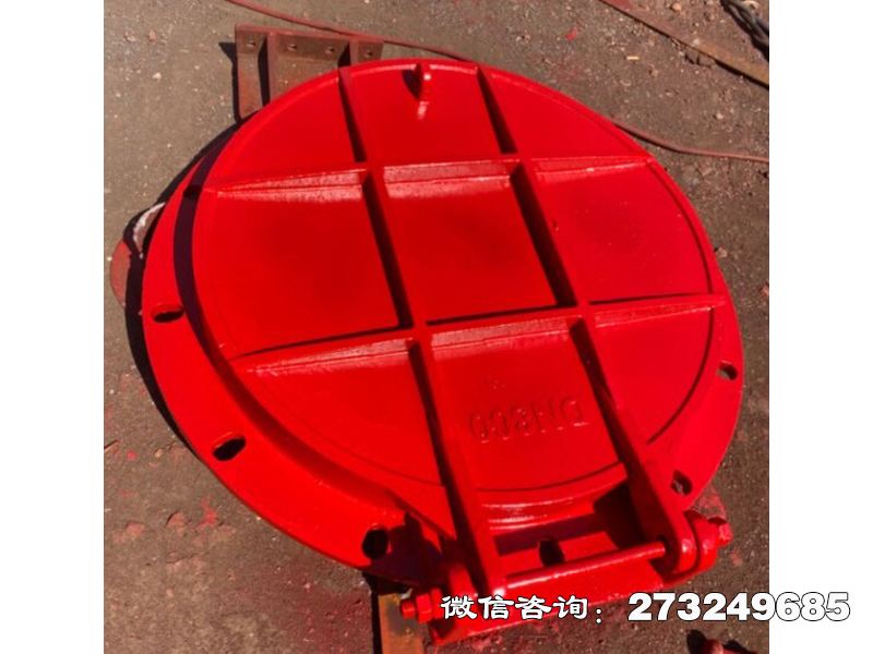 长武县铸铁圆形沉淀池拍门