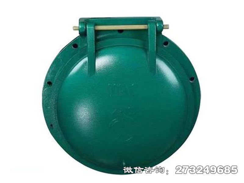 长武县铸铁圆型潮汐防倒灌拍门