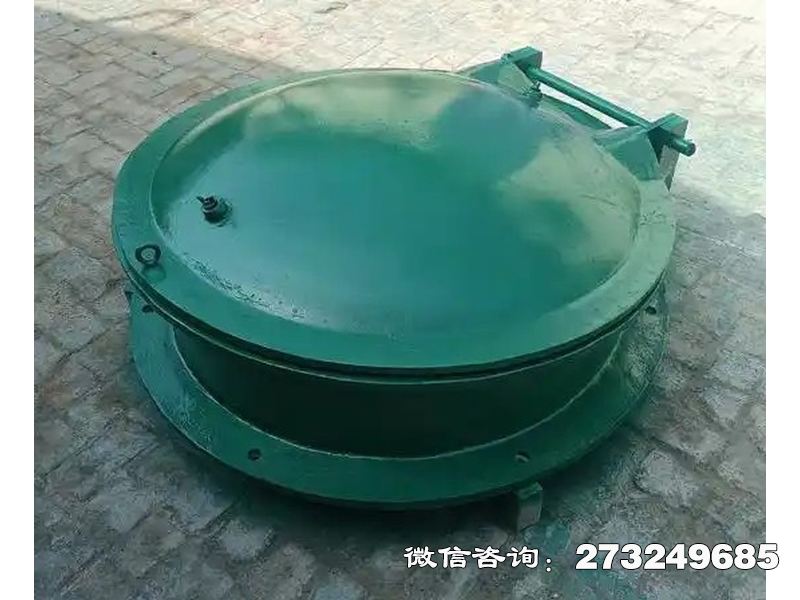 长武县铸铁圆型一体化泵站拍门