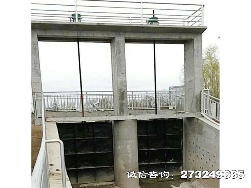常山县铸铁河道方型闸